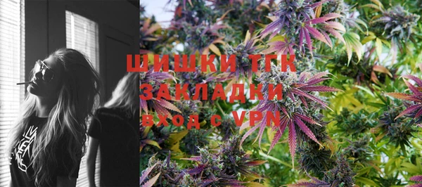 стаф Михайловск