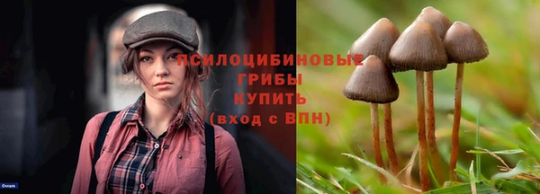 стаф Михайловск